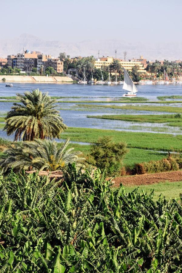 Villa Rebecca Luxor Bagian luar foto